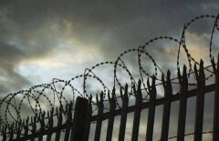 Досрочное освобождение за деньги получили шестеро осуждённых чиновников в ЮКО 