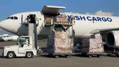Турецкая фармкомпания прислала в Казахстан полтонны медпрепаратов для лечения от Covid-19