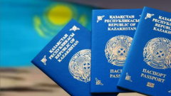 Инвестиционное резидентство намерены внедрить в Казахстане (внесены изменения)