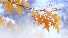 На большей части Казахстана 9 ноября ожидаются осадки
