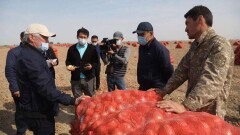 Сапарбаев: Репчатый лук должен стать брендом Жамбылской области