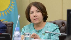 Карагусова раскритиковала налоговиков за возросшее в два раза количество штрафов