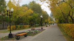 Тёплая погода без осадков ожидается на большей части Казахстана в среду, 20 сентября