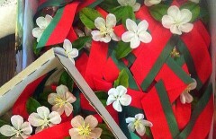 В Белоруссии георгиевские ленты заменили бутоньерками