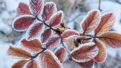 Прогноз погоды на 11 октября: на юге ожидаются пыльные бури, на севере – гололёд