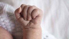 Убийство младенца в морозильной камере роддома Атырау: адвокат обвиняемого главврача заявил о подмене тела