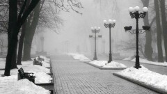 Прогноз погоды на 16 декабря: в большинстве областей ожидается туман
