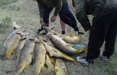 В Атырау инспектора рыбоохраны подозревают в браконьерстве