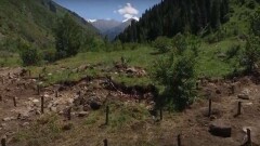 Начало строительных работ в Иле-Алатауском нацпарке показали на видео с дрона