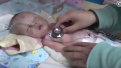 Похороненного заживо младенца спасла собака