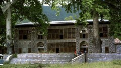 В Азербайджане рухнула ветка 500-летнего дерева, 19 человек пострадали