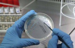 Реестр несоответствующей продукции пополнился продуктами питания