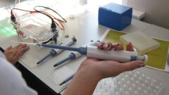 Лаборатория по производству коров из эмбрионов появится в Казахстане