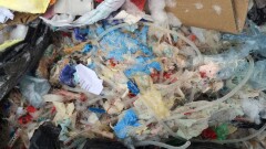 Большинство больниц ВКО утилизируют медицинские отходы в обычные мусорные баки