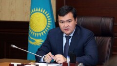 Женис Касымбек пообещал карагандинцам более гуманное отношение к бродячим животным