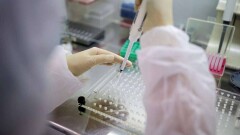 49 авиапассажиров из ВКО без справок об отсутствии Covid-19 не допустили на рейсы