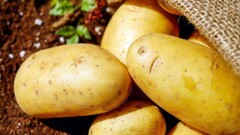 Казахстан запретил ввозить картофель, яблоки, гранаты и хурму из Кыргызстана и Узбекистана