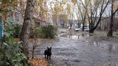 Синоптики рассказали, какой будет погода в субботу, 4 ноября