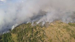 Пожар в Каркаралинском природном парке удалось локализовать на пятый день