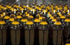 Пиво в пластиковых бутылках разрешили продавать в Казахстане