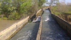 Сделать бизнес на селе привлекательным намерен аким Атырауской области