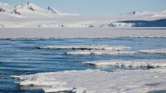 Новый пролив появился в Арктике