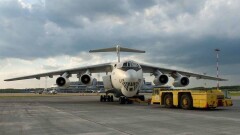 Авиаперевозка животных из Европы в Казахстан: при посадке самолёта погибло около ста коз