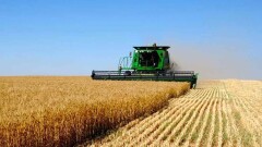 Зачем Аграрная кредитная организация модернизирует рынок лизинга
