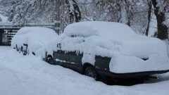 Впервые за несколько лет в Таразе выпал 30-сантиметровый слой снега