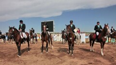 За сколько на самом деле продали государственный конный клуб в Астане