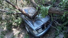 В Уральске ураган оставил без света 4 000 абонентов. В регионе объявлен режим ЧС