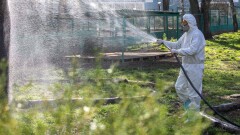 Хронология распространения коронавируса, 17 апреля: более 1500 заражённых и тесты для беременных