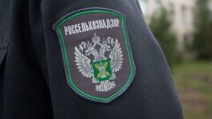 Кадмий и свинец обнаружил Россельхознадзор в казахстанском корме для скота