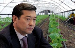 Кто в Правительстве помогал Ахметову незаконно строить теплицы, рассказали в суде