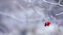 Көлік доңғалақтарын қашан ауыстыру керек. Мамандар биыл қыста ауа райы қандай болатынын айтты