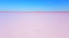 Розовое озеро Кобейтуз планируют отдать в частные руки на 49 лет