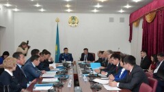 "Казахалтын" рассказал, как будет бороться с чёрными старателями 