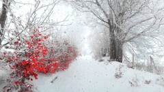 Синоптики рассказали, какой будет погода в воскресенье, 21 января