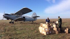 Почти 600 млн тенге выделили в Павлодарской области на борьбу с комарами и мошками