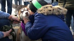 Служебные и ездовые собаки подарили праздник особенным детям в Алматы