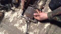 Пограничники в ВКО задержали с поличным браконьера