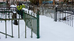 Раненую женщину оставили умирать на кладбище в Актобе