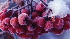 Синоптики рассказали, какой будет погода 14 декабря