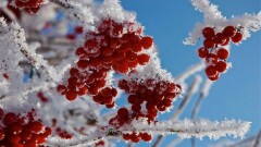 Прогноз погоды представили синоптики на 23 ноября