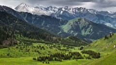 В ООН поддержали решение Токаева о запрете строительства курорта в урочище Кок-Жайляу 