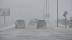 ІІМ жабық трассаға шыққан жүргізушілерге айыппұл салу мәселесін қарастырып жатыр