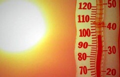 В Египте из-за аномальной жары умерли 40 человек