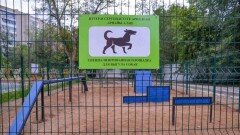 Первую спецплощадку для выгула собак построили в Астане по поручению Исекешева