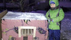 Дом для уличных кошек построил пятилетний мальчик в Павлодаре