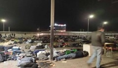 3700 узбекистанцев, застрявших в Туркестанской области, пропустили через границу